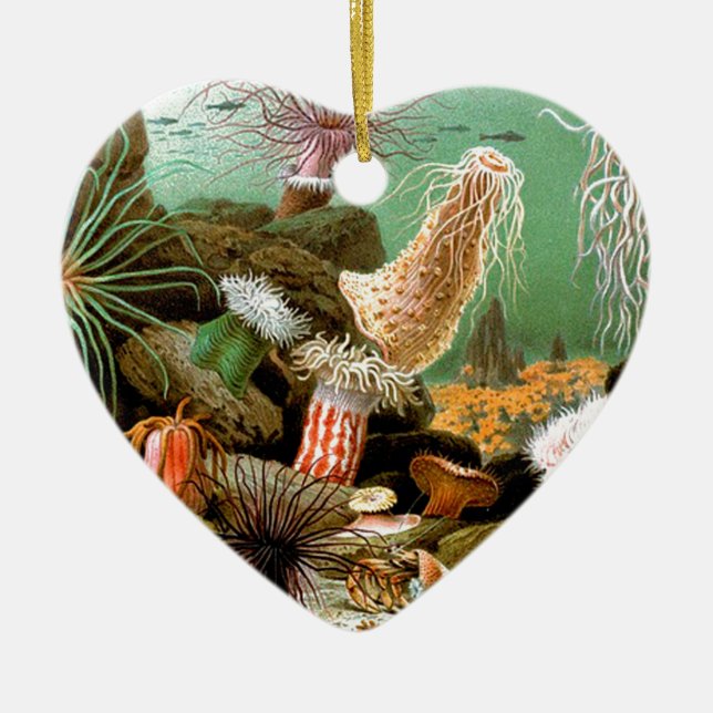 Sea anemones underwater scene ceramic ornament (Front)