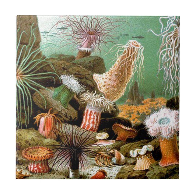 Sea anemones underwater scene tile (Front)