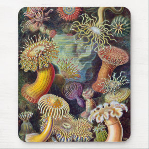 Sea Anemones, Vintage Actiniae by Ernst Haeckel Mouse Pad