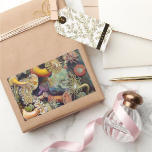 Sea Anemones, Vintage Actiniae by Ernst Haeckel Sticker