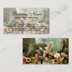 Sea Anemones, Vintage Marine Life Ocean Animals Business Card