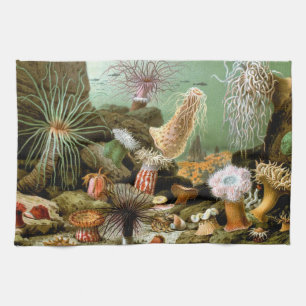 Sea Anemones, Vintage Marine Life Ocean Animals Kitchen Towel