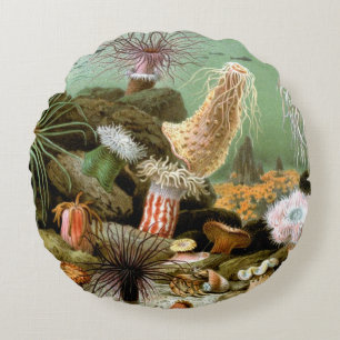 Sea Anemones, Vintage Marine Life Ocean Animals Round Pillow