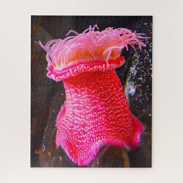 Sea Anemonies Jigsaw Puzzle (Vertical)