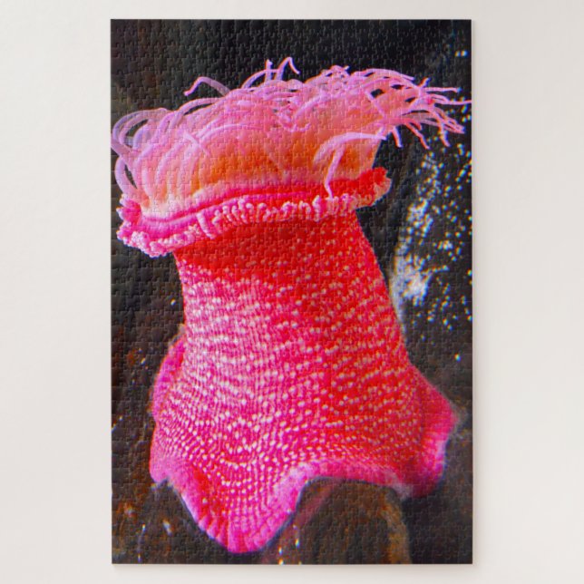 Sea Anemonies Jigsaw Puzzle (Vertical)