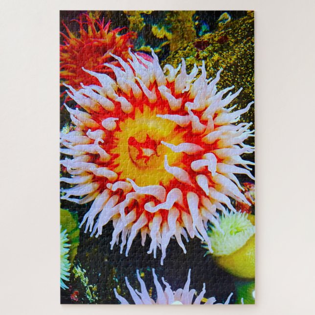 Sea Anemonies Jigsaw Puzzle (Vertical)