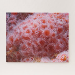 Sea Anenome, Pastel Pink Jigsaw Puzzle