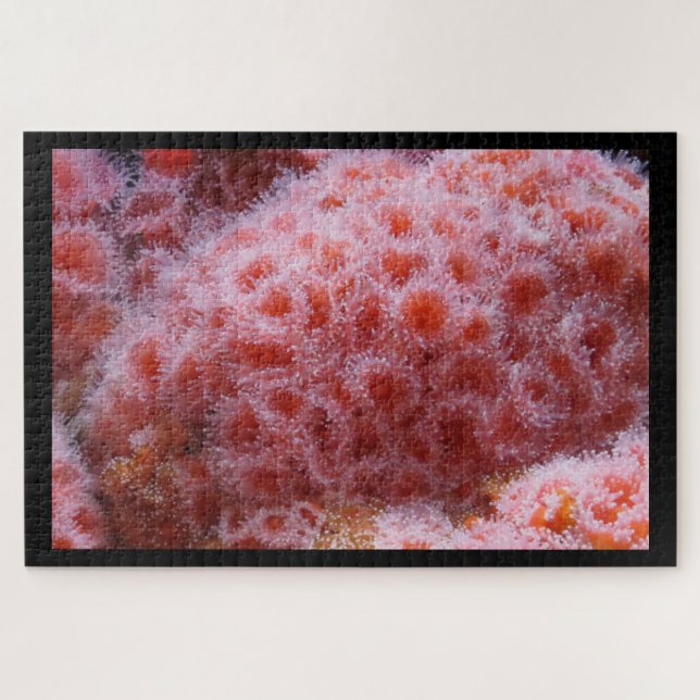 Sea Anenome, Pastel Pink Jigsaw Puzzle (Horizontal)