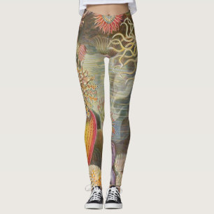 Sea Anenomes by Ernst Haeckel Leggings