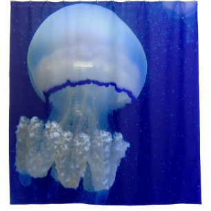 Sea Animals
