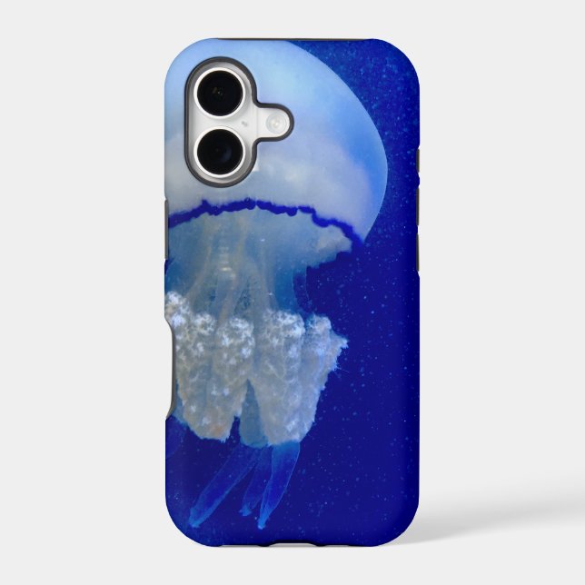 Sea Animals (Back)