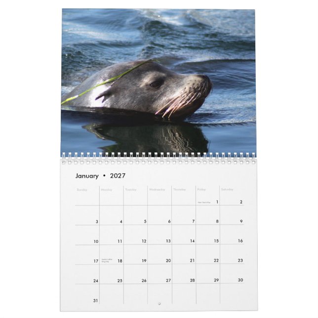 Sea Animals 2015 Calendar (Jan 2027)