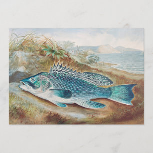 Sea Bass by S.A. Kilbourne, Vintage Fish Invitation