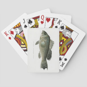Sea Bass Fish Playing Cards