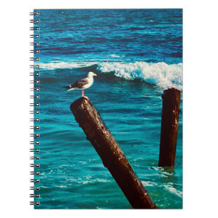 Sea Bird Notebook 