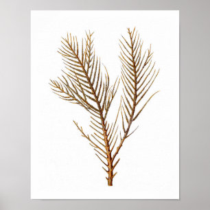 Sea Coral No. 10 décoration de plage