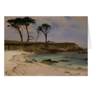 Sea Cove