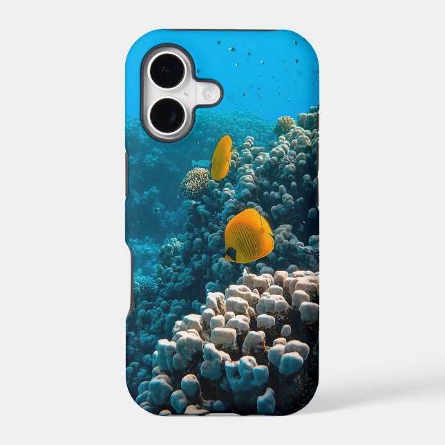 Sea Creatures (Back)