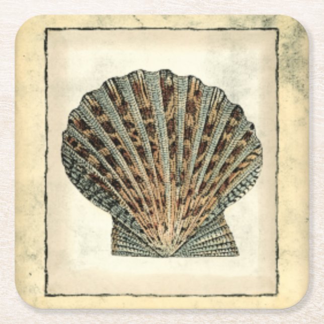 Sea Creatures by the Shore Square Paper Coaster (Front)