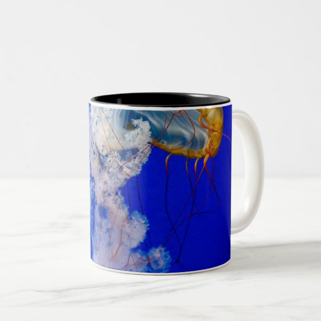 Sea Creatures Two-Tone Coffee Mug (Front Right)