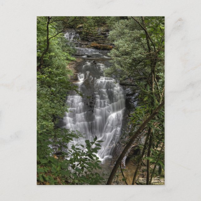 Sea Creek Falls Postcard (Front)