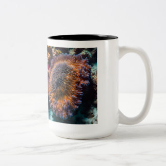 Sea Cucumber Mug
