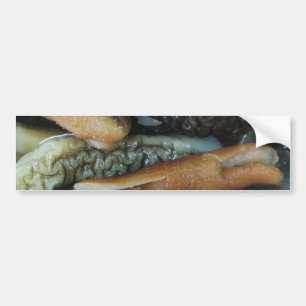 Sea Cucumber ... Yaowarat Market Food Bumper Sticker