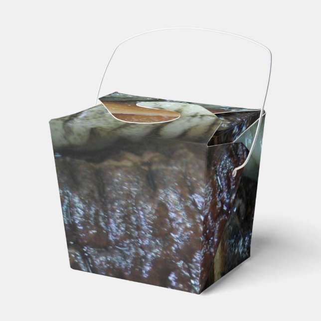 Sea Cucumber ... Yaowarat Market Food Favor Box (Front Side)