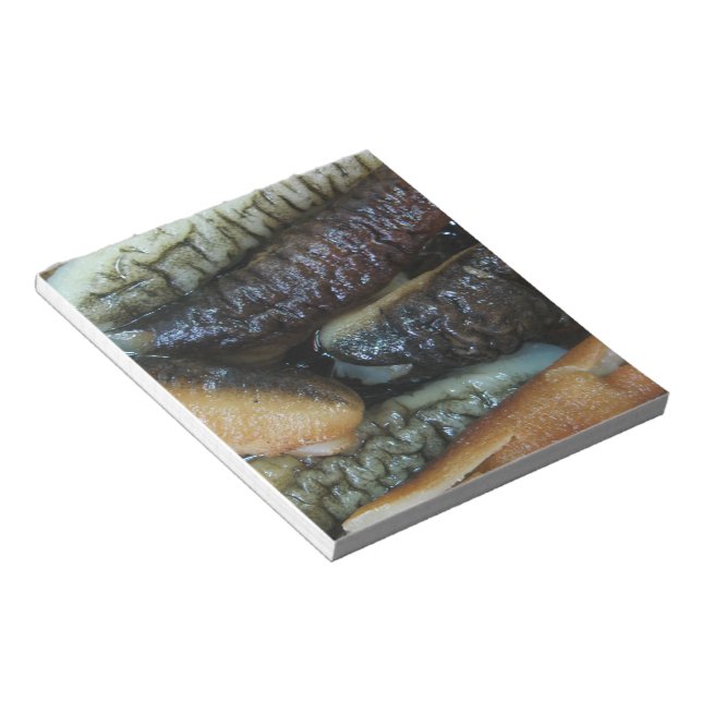Sea Cucumber ... Yaowarat Market Food Notepad (Angled)