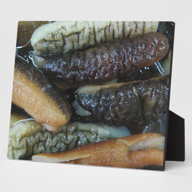 Sea Cucumber ... Yaowarat Market Food Plaque (Side)