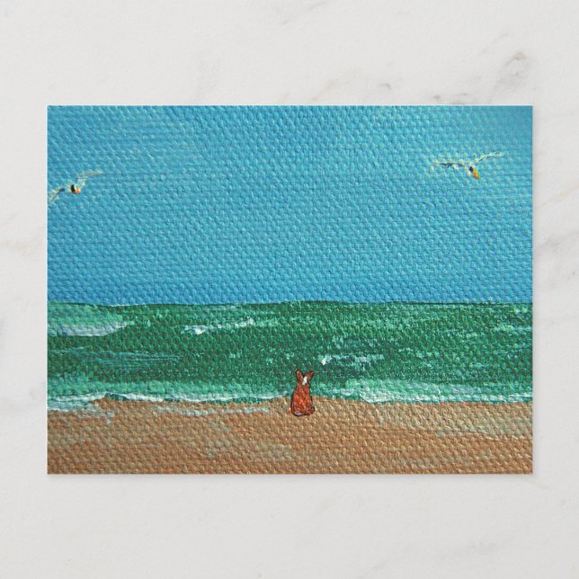 Sea Dog Postcards (Front)