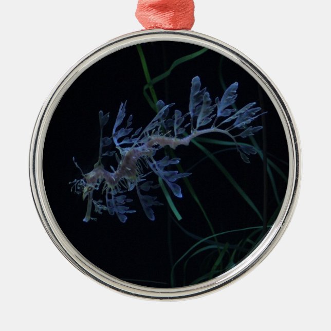 Sea Dragon Metal Ornament (Front)
