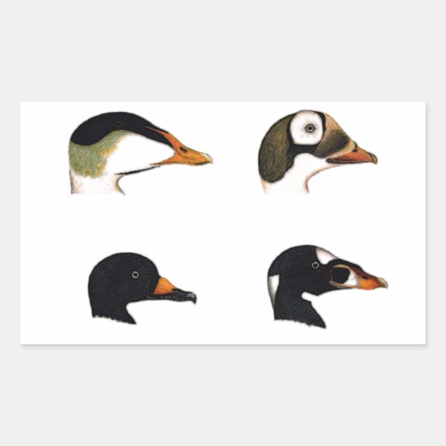 Sea Ducks Logo Sticker (Front)