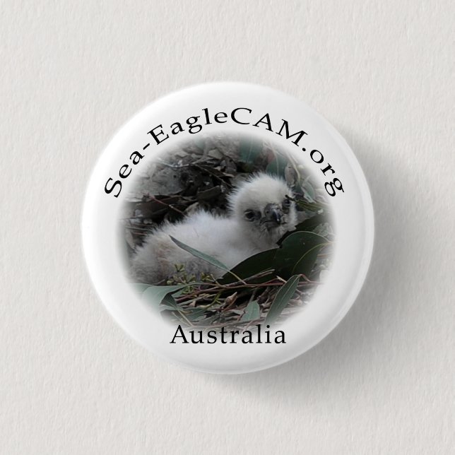 Sea-Eagle Hatchling Button (Front)