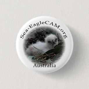 Sea-Eagle Hatchling Button