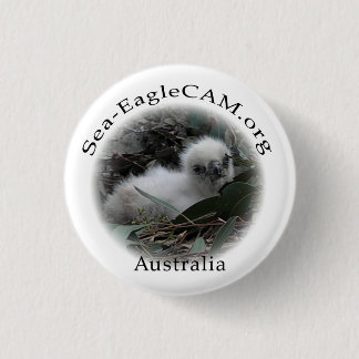 Sea-Eagle Hatchling Button