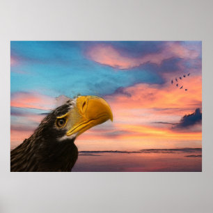 Sea Eagle Poster