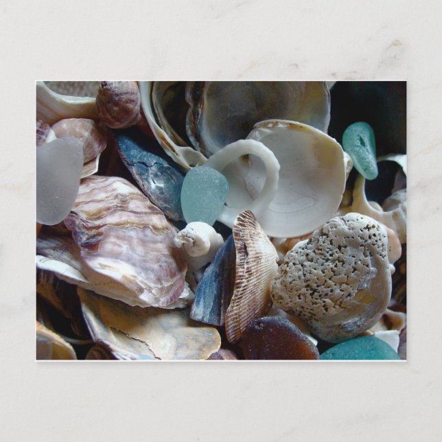 Sea Glass Shell Collected Postcard (Front)