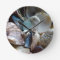 Sea Glass Shell Collected