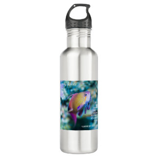 Sea goldie, colourful cute fish 710 ml water bottle