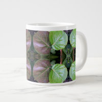 Sea Grapes Pattern