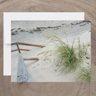 Sea Grass and  White Sand Dune Beach Photographic Card