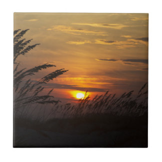 Sea Grass Sunset Ceramic Tile