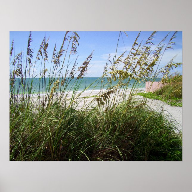 Sea Grasses Poster (Front)