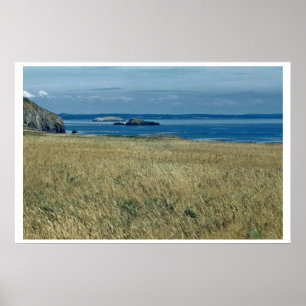 Sea Grassland Poster