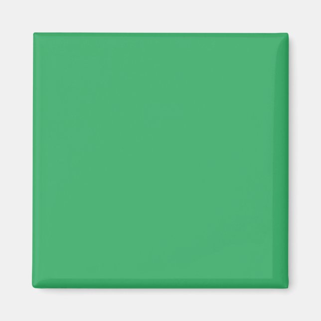 Sea Green #EEAD65, Aqua Forest Magnet (Front)