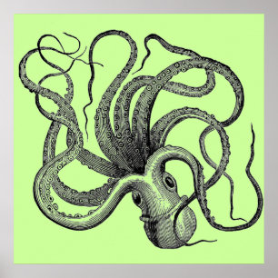 Sea Green Octopus Poster
