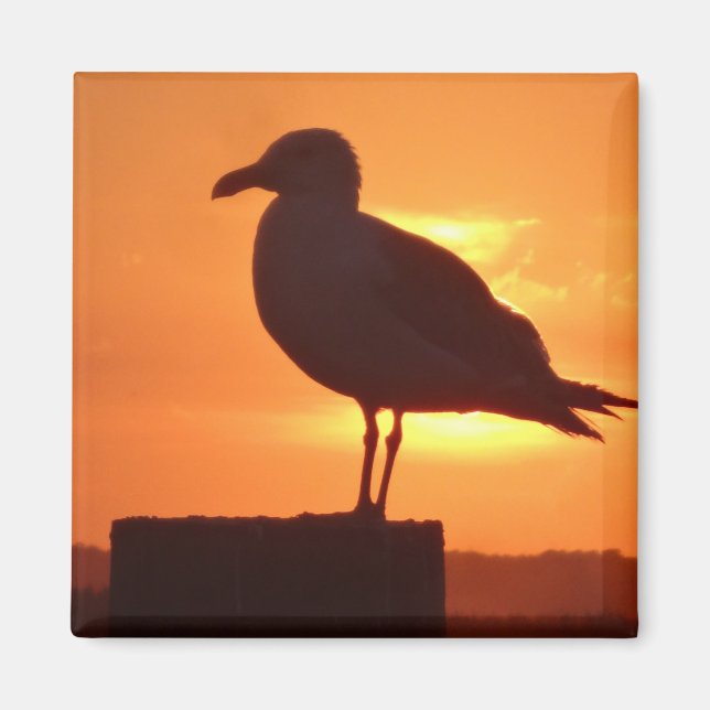 Sea Gull at Sunset Magnet (Front)