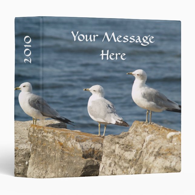 Sea Gull Blue Water Binder (Front/Spine)