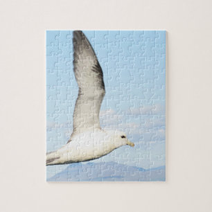 Sea Gull Inflight Puzzle